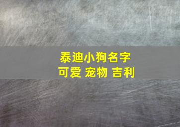 泰迪小狗名字 可爱 宠物 吉利